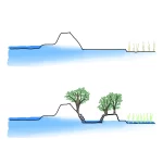 湧水泉_模式図（断面） 河川の近くの地面を掘り下げることで、川底の帯水層の水を湧出させて、水を得る。